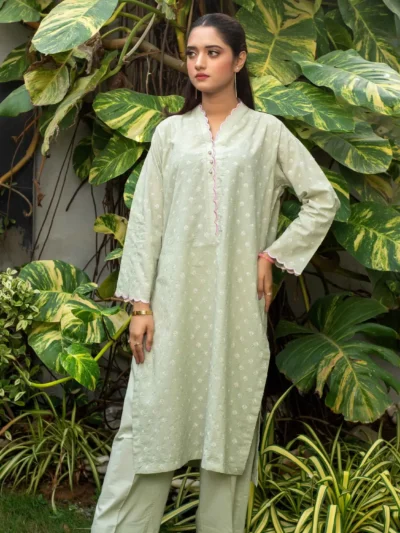 Ghazal - 2pc Embroidered Pista Suit with Plain Trouser